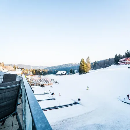 311 * Feldberg (Baden-Wurttemberg)